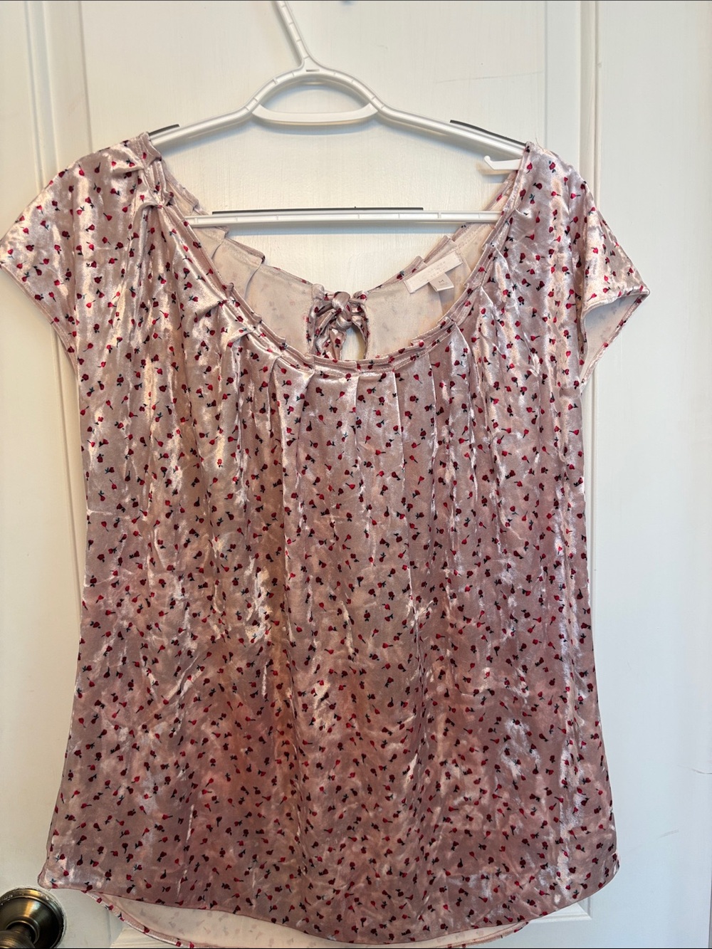 LC Lauren Conrad Pink Velvet Short-Sleeve Tie-Back Blouse with Red Floral Print